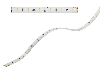 Silicone Ribbon Light, Loox LED 2030, 12 V