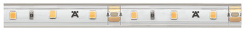 LED strip light with silicone sleeve, Häfele Loox5 LED 2063, 12 V, monochrome, (5/16) 8 mm