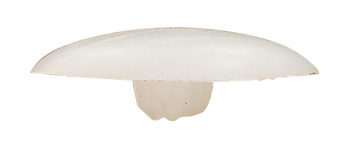 Capuchon, pour trou central de 4 mm